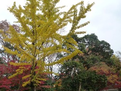 安勝寺02