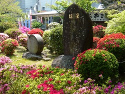 諫早公園02-5