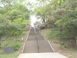 稲佐山03