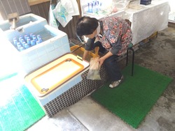 千々石02-5