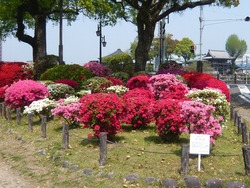 諫早公園01-2