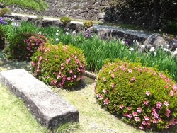 大村公園02-5
