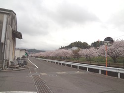 高田駅02