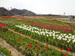 安保地区01-4