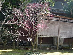 松森神社03