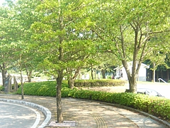 東彼杵02-2