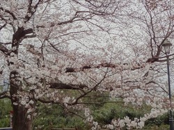和三郎01-7