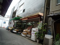 銭座05-2