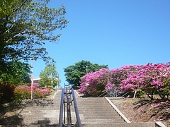稲佐山03-4