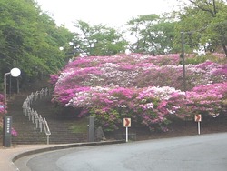稲佐山05-2