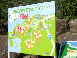 水仙まつり02-4