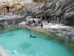ペンギン水族館02-6