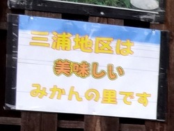 大村04-4