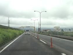 ひまわり01-3