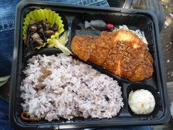 大村公園03