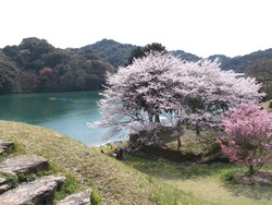 琴海中央公園01-3
