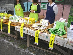新茶まつり06