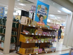 夢彩都01-3