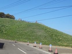 水仙まつり02