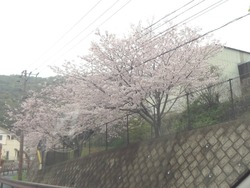 小江原01