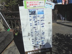 雛めぐり06-8