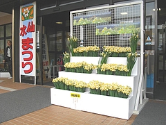 野母崎07-00