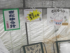 新茶まつり03-2