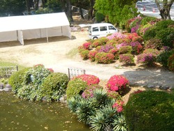 諫早公園01-5