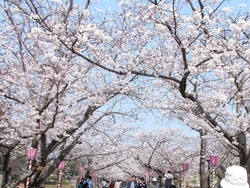 大村公園02-3