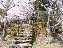 琴海中央公園02