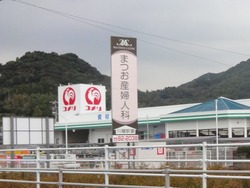 季泉01-3