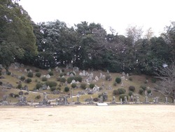 円融寺庭園02-2