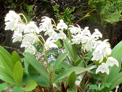 Äí02-6