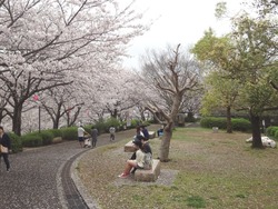 中尾城公園03