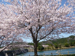 伊佐ノ浦公園03-8