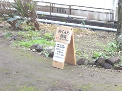 松原おくんち04