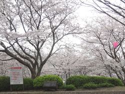中尾城公園02