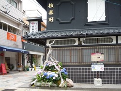 中島川02-2