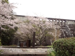 小ヶ倉水園02-3