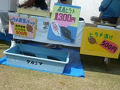 帆船まつり03-8