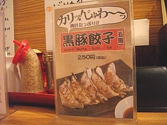 IMGP3841