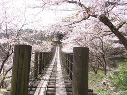 琴海中央公園02-2