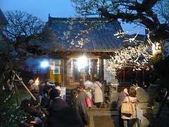 梅園01