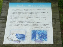 文化の森02-4
