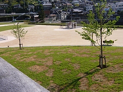 本河内03