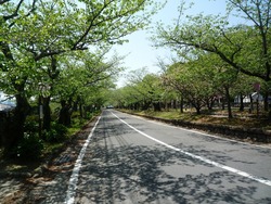 大村公園01-2
