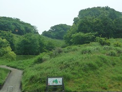 文化の森01-2