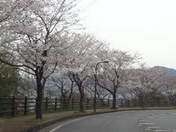 稲佐山01-6