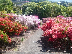 稲佐山03-7