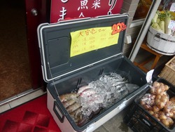 大波止01-5